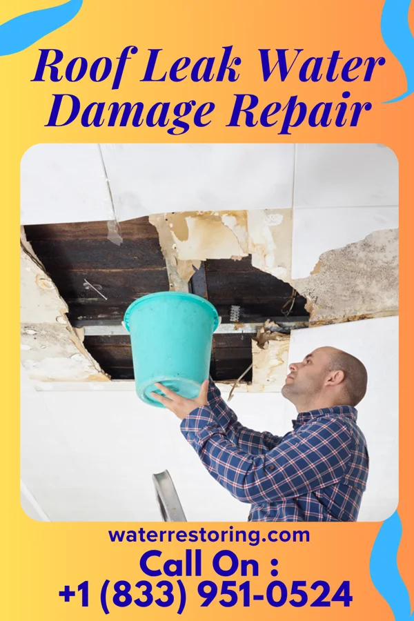 Roof Leak Water Damage Repair in Yarrowsburg, MD