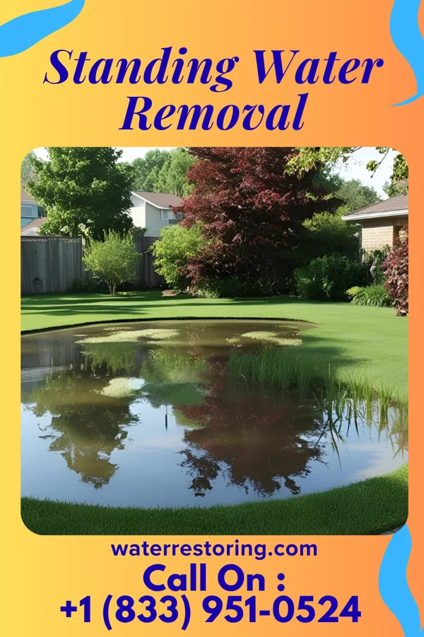 Standing Water Removal in Yarrowsburg, MD
